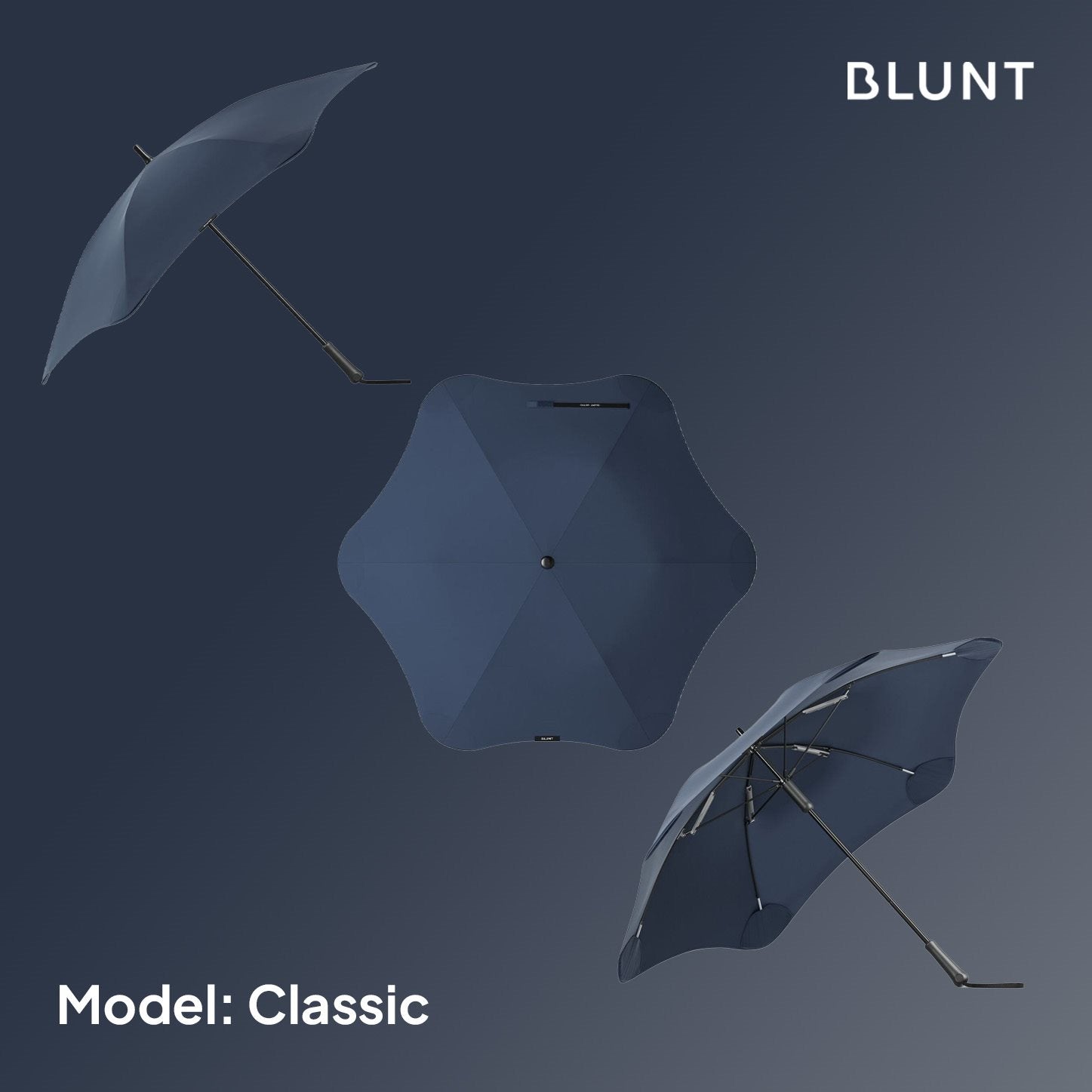 #color_midnight blue