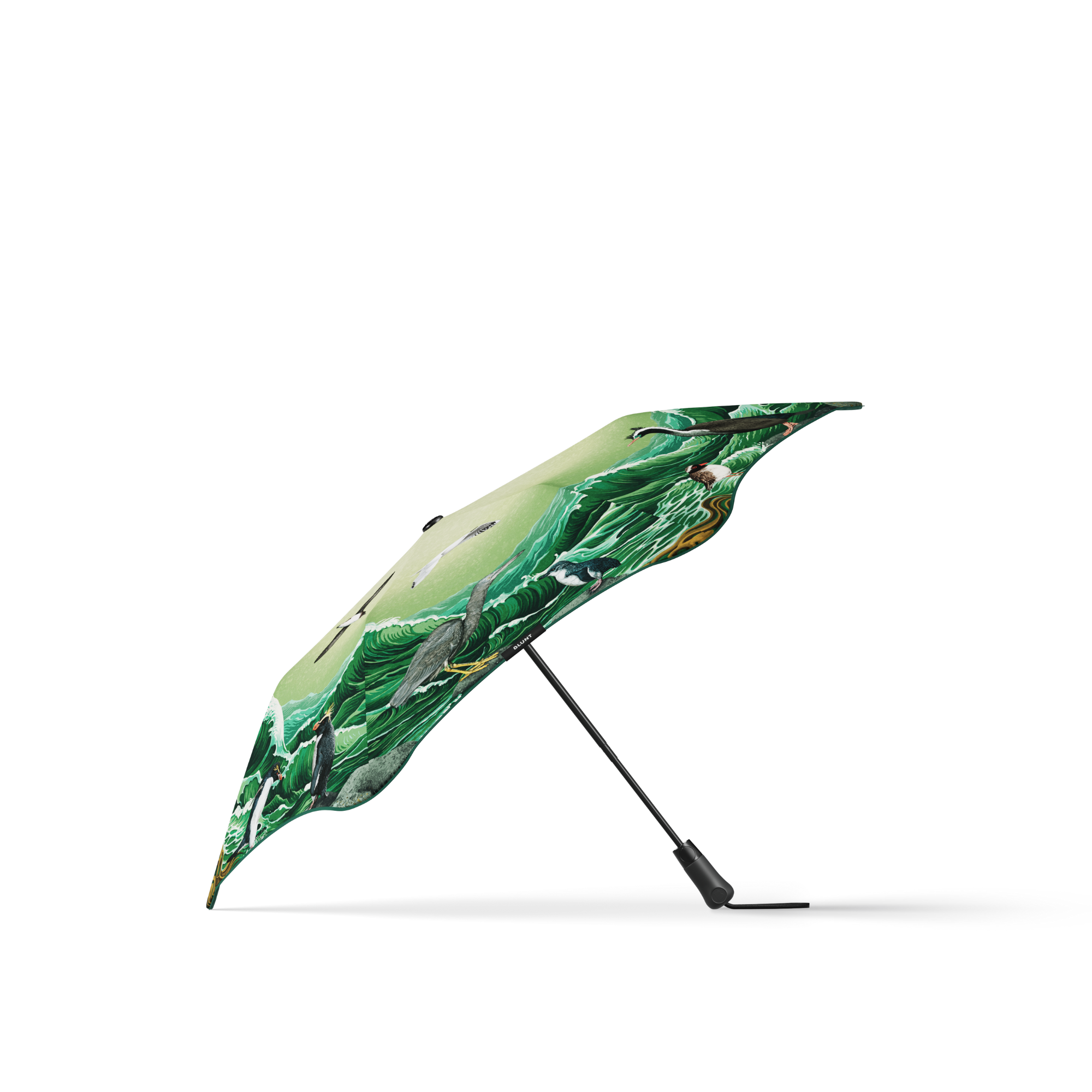 #color_forest & bird