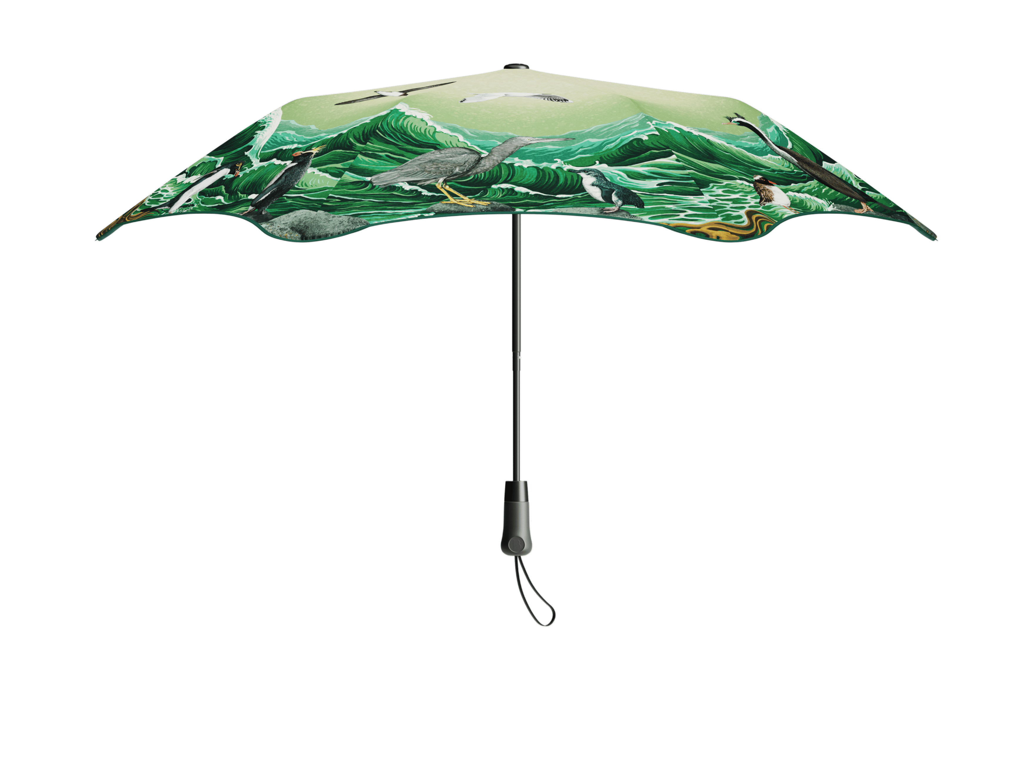 #color_forest & bird