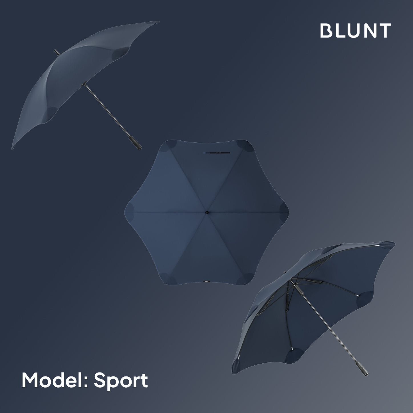 #color_midnight blue