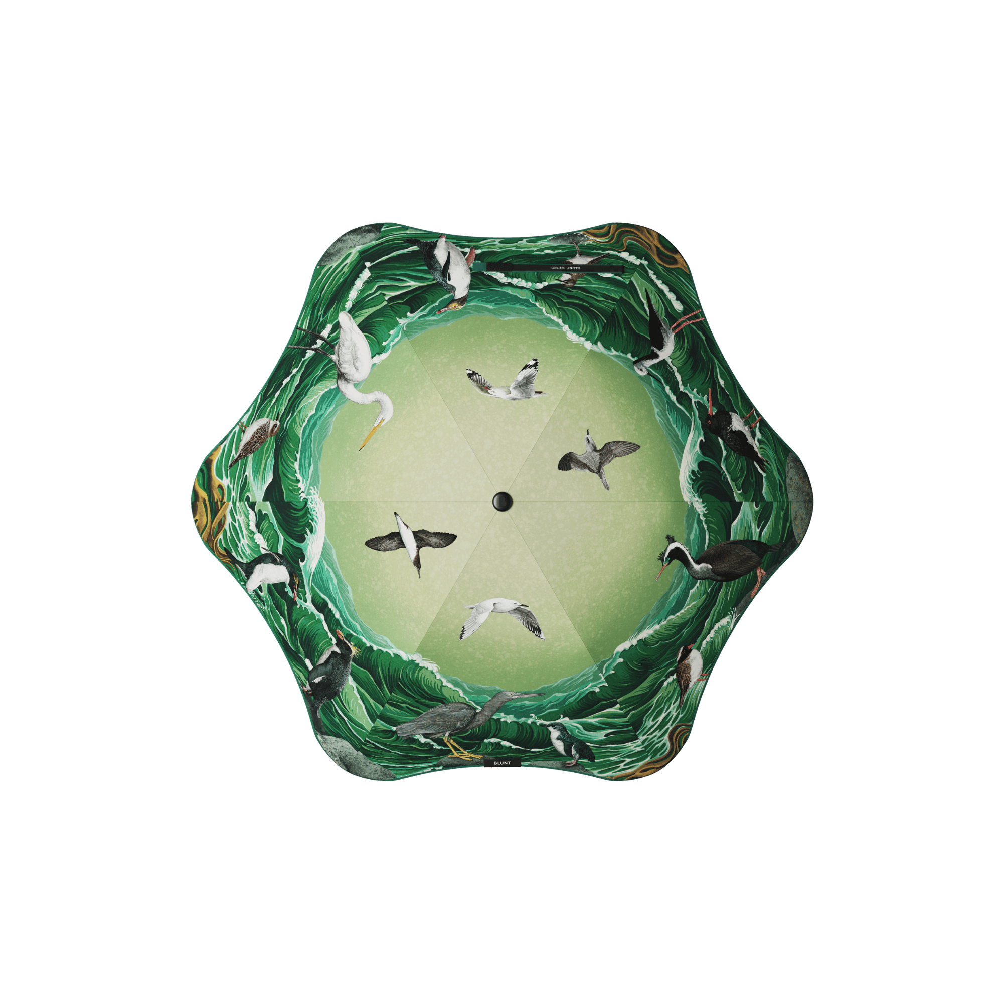 #color_forest & bird