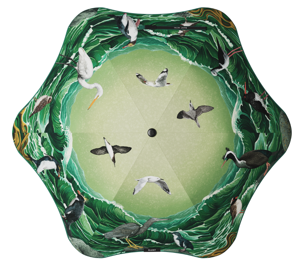 #color_forest & bird